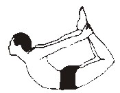 dr-bogen.JPG