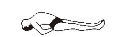 dr-fish.JPG