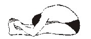 dr-forw.JPG