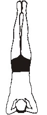 dr-head.JPG
