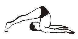 dr-pflug.JPG
