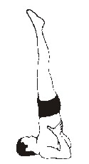 dr-shoul.JPG