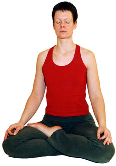 Yoga Vidya - Drehsitz - Ardha Matsyendrasana