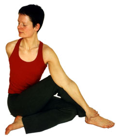 Yoga Vidya Reihe - Mittelstufe