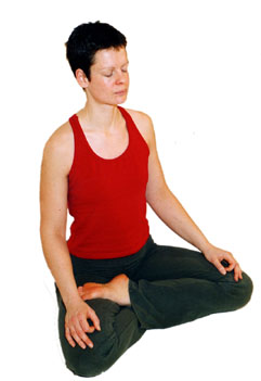 Yoga Vidya Reihe  kurz