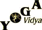 Yoga Vidya Logo