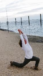 Neues aus Yoga Vidya Nordsee