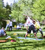Seminar- Highlights bei Yoga Vidya Westerwald