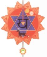 Übung des Monats: Herz-Chakra Segensmeditation
