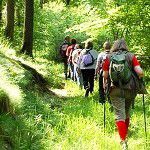 Yoga und Wandern im Frühling und Sommer - Seminare in den Yoga Vidya Seminarhäusern