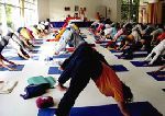Tage der offenen Tür am So. 6.5. Yoga Vidya Bad Meinberg, 13.5. Yoga Vidya Nordsee, 17.5. Yoga Vidya Westerwald