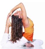 Neuigkeiten aus den Yoga Vidya Zentren