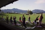 Neue Fotoshows im Yoga Vidya Blog