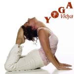 Yoga Vidya Stil – was macht ihn so besonders?