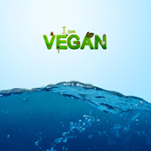 vegane ernährungsberater ausbildung