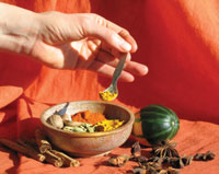 Ayurveda Gesundheit und Spiritualit&auml;t