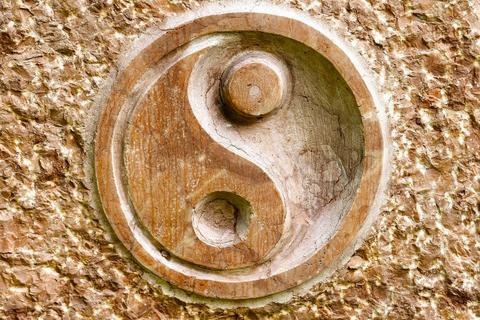 From Yang to Yin