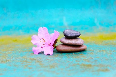 Wohnen im Einklang - Dein Zuhause mit Ayurveda und Vastu zum Kraftort gestalten
