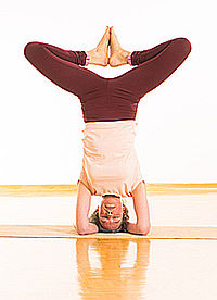 Asana Exakt - Yogalehrer Weiterbildung