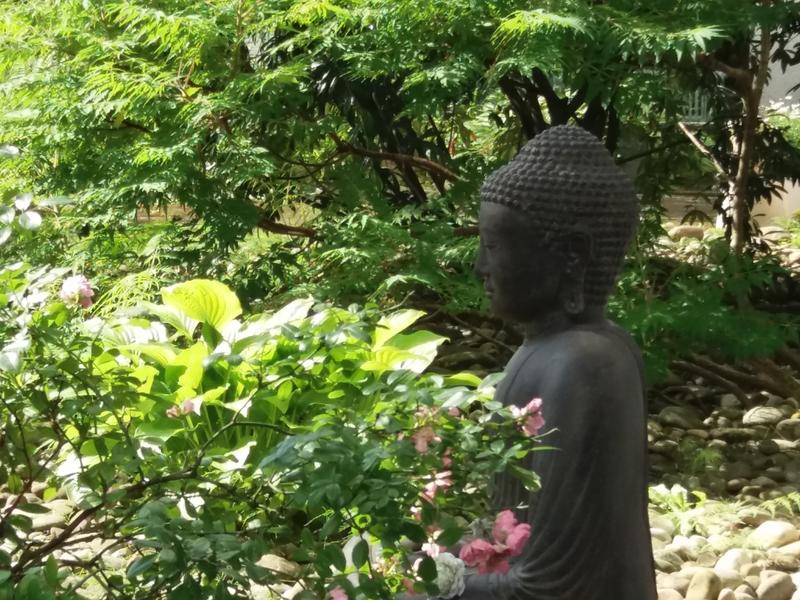 Bild-Yoga-Vidya-Schweigegarten-Buddha