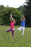 Führung und Coaching mit Yoga - Yogalehrer Weiterbildung