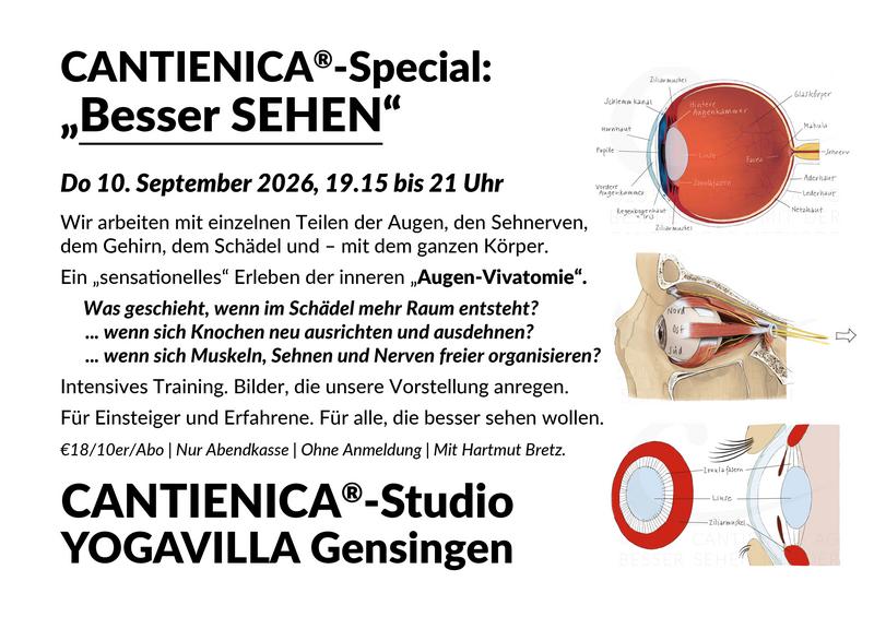 Yogavilla Gensingen Cantieneica Besser Sehen Augentraining