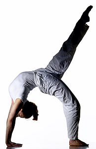 Asana exakt Yogalehrer/in Ausbildung