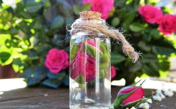 Eine Apothekerflasche mit klarem ayurvedischem Öl steht vor einem vor Rosenstrauch