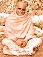 Swami Krishnananda - Der Aufstieg des Geistes