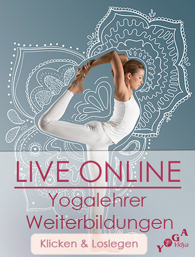Live Online Yogalehrer Weiterbildungen Yoga Vidya