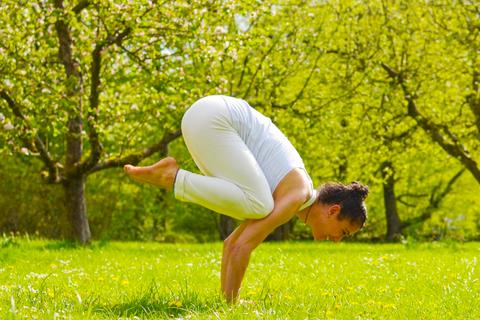 Vinyasa Flow - Yogalehrer Weiterbildung