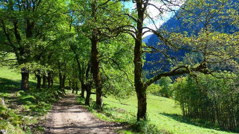 Nordic Walking im Teutoburger Wald und Umgebung