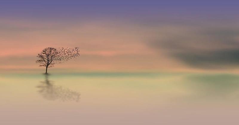 Kahler Baum mit Vögeln in der Morgendämmerung.