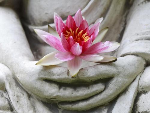 Buddhistische Meditation Kursleiter/in Ausbildung