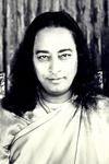 Meditationskurs inspiriert von Osho, J. Krishnamurti und P. Yogananda - Online Kurs Reihe