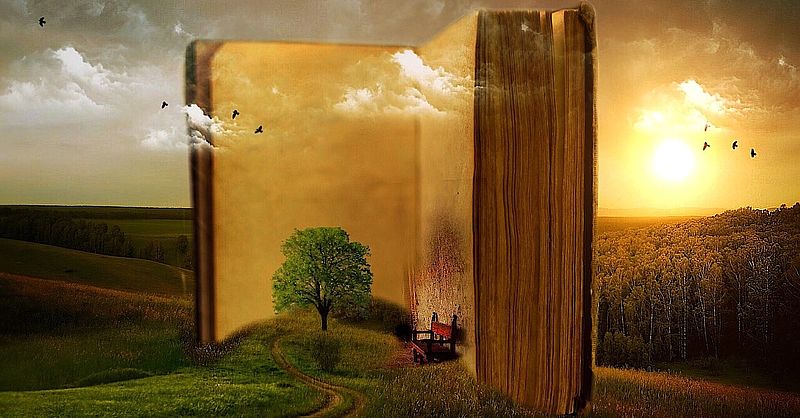 Collage mit Buch Baum ind der Natur