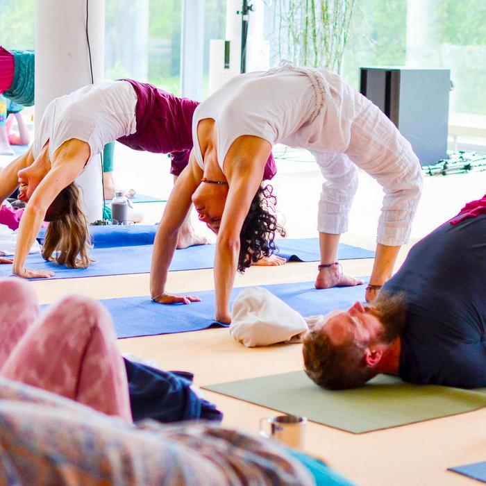 Hatha Yoga Retreat - Yogagruppe in Chakrasana (Yogapose Rad)