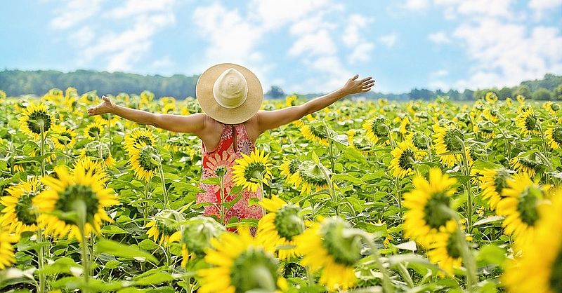 Frau in einem Sonnenblumenfeld