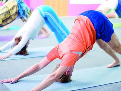 Yogalehrer 2 Jahres Baustein Ausbildung