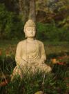 Die meditativen Vertiefungen des Buddha in Yoga Interpretation