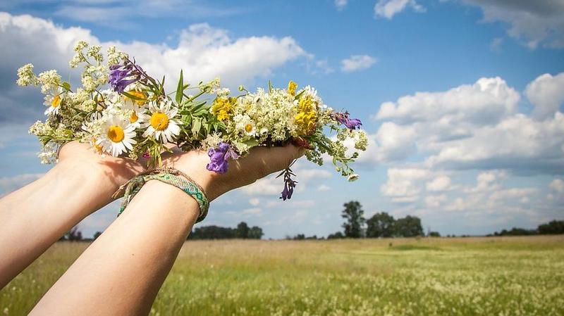 Hände voller Blumen als Ehrgabe an die Natur