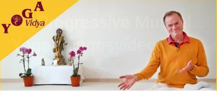 Zu jeder Woche gibt es mehrere Videos: