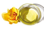 Gelbe Rose mit Öl
