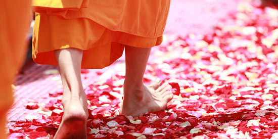 Ein buddhistischer Mönch geht über einen Teppich aus Blüten