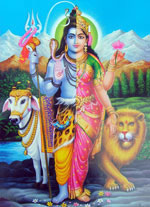 Shiva und shakti